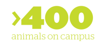 >400 animals on campus