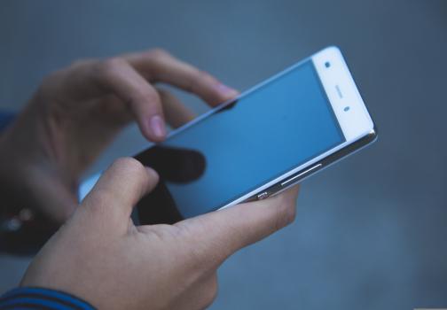 hands holding a cell phone