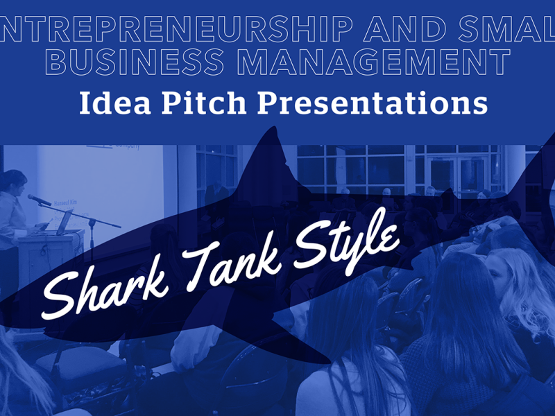 Idea Pitch Presentation