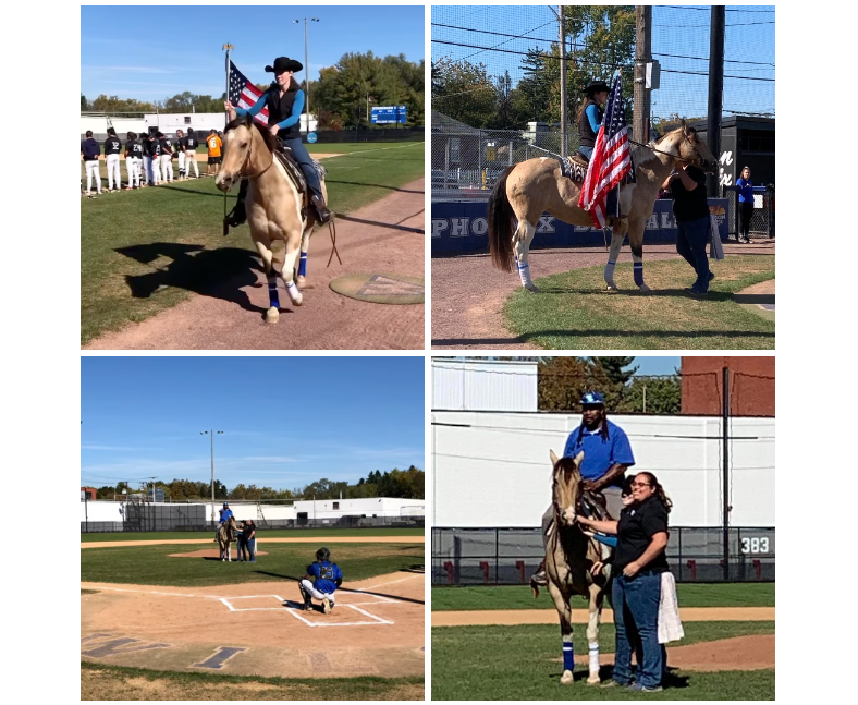 baseball