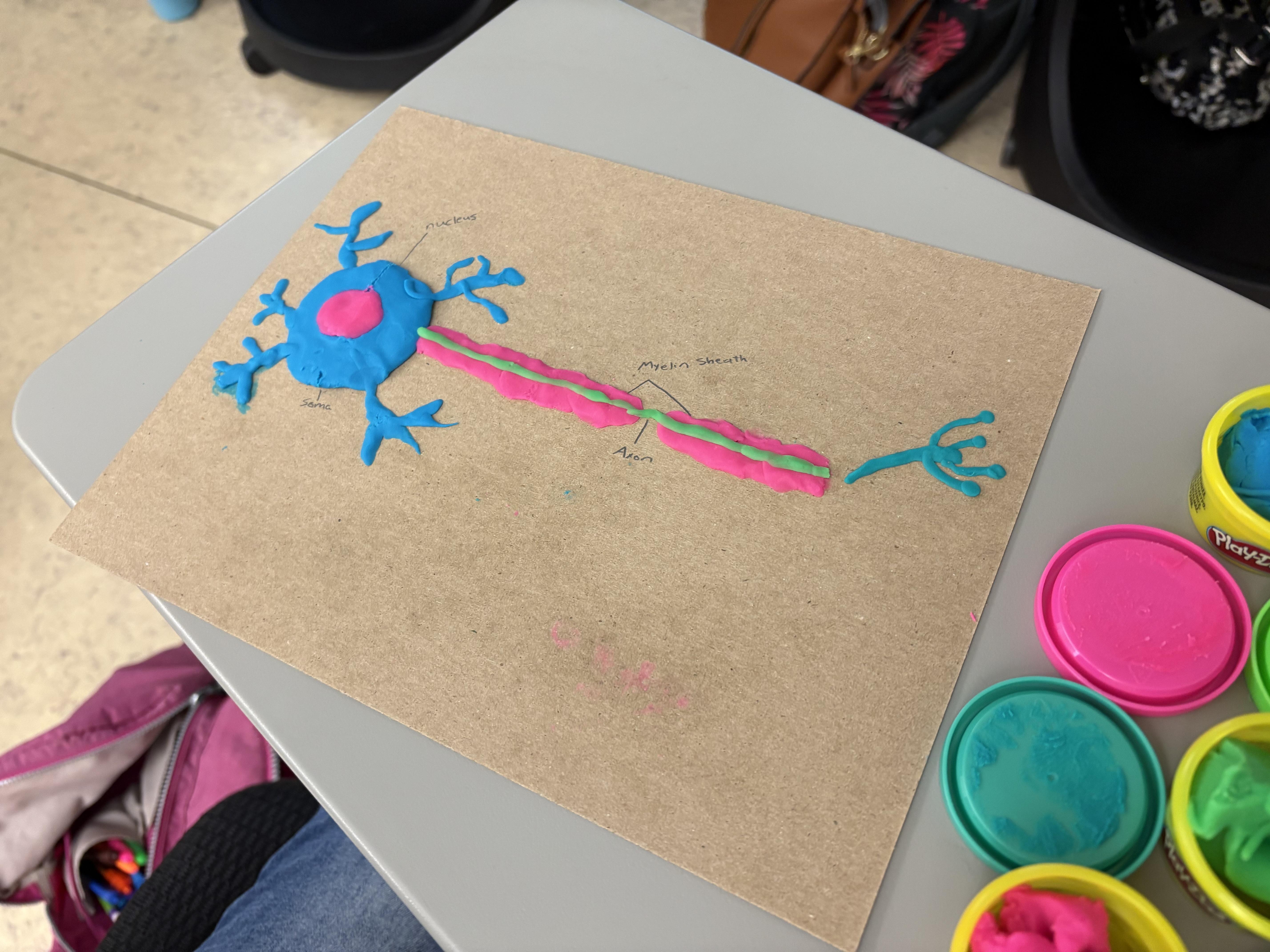 Neuron made of putty