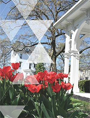 red flowers in front of a building