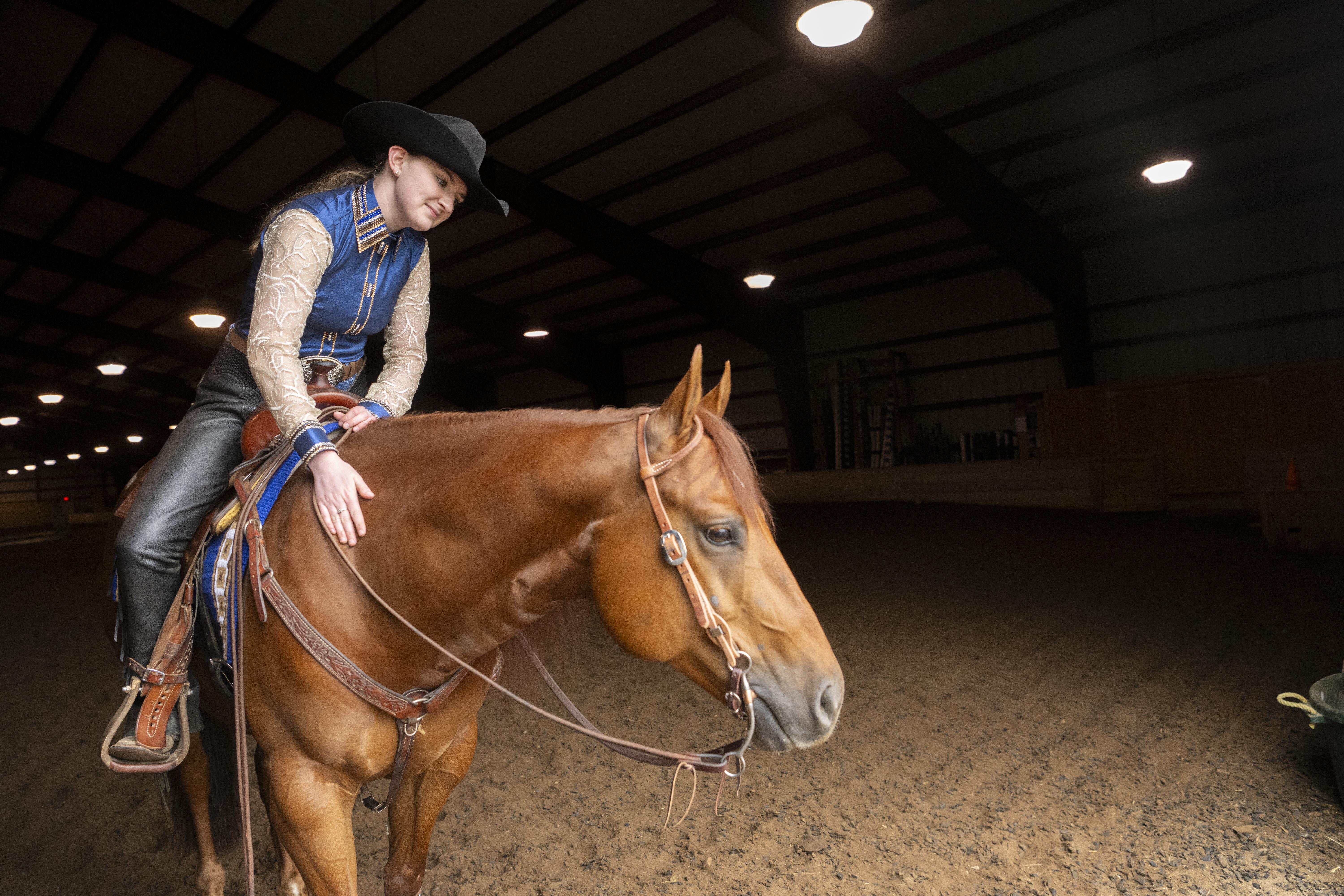 Western equestrian rider on a horse
